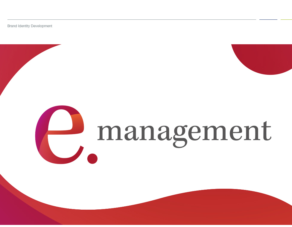 e-Management-x-CS__WebsitePortfolio_01 case study