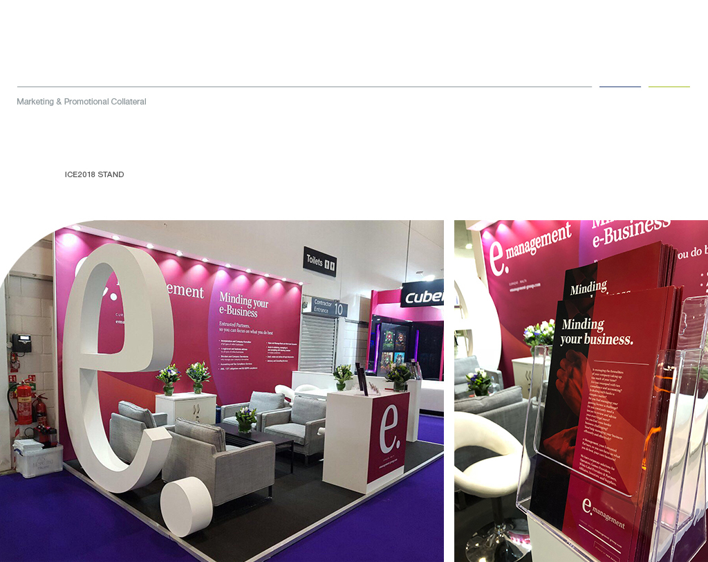 e-Management-x-CS__WebsitePortfolio_05 case study