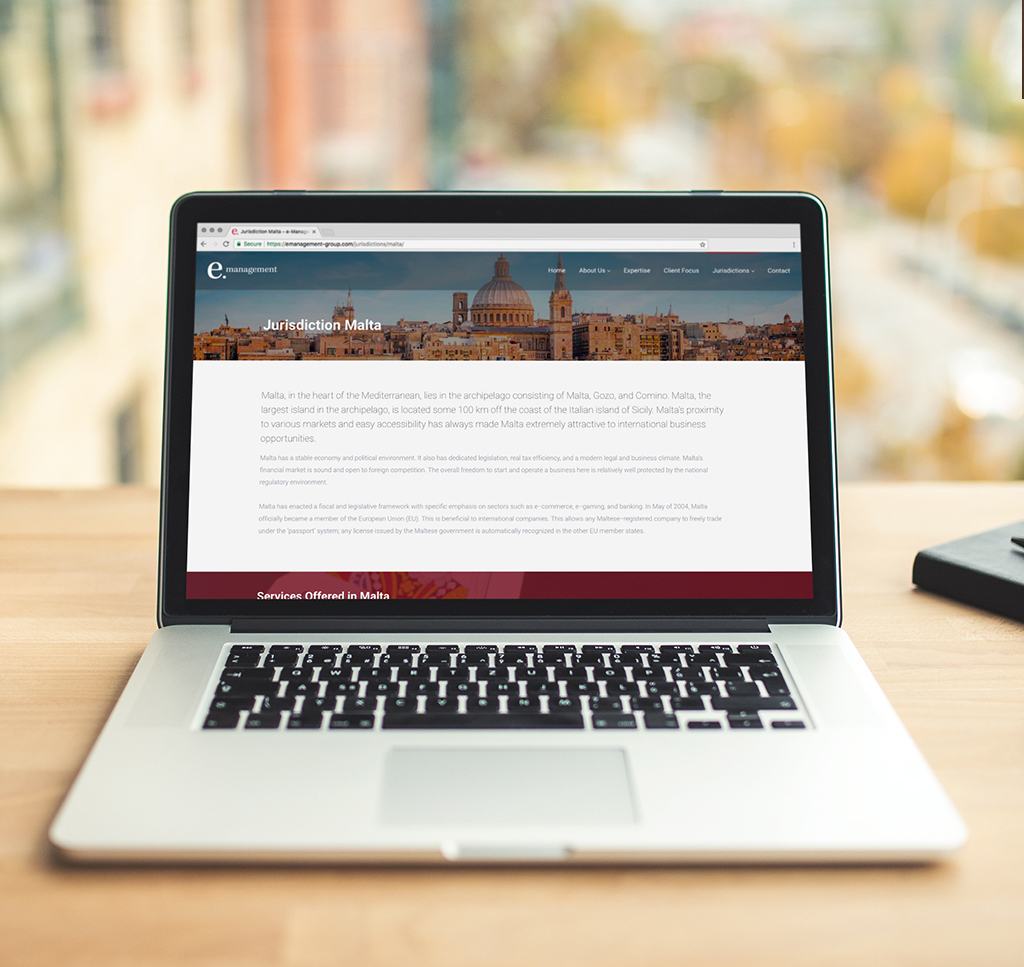 e-Management-x-CS__WebsitePortfolio_09 case study
