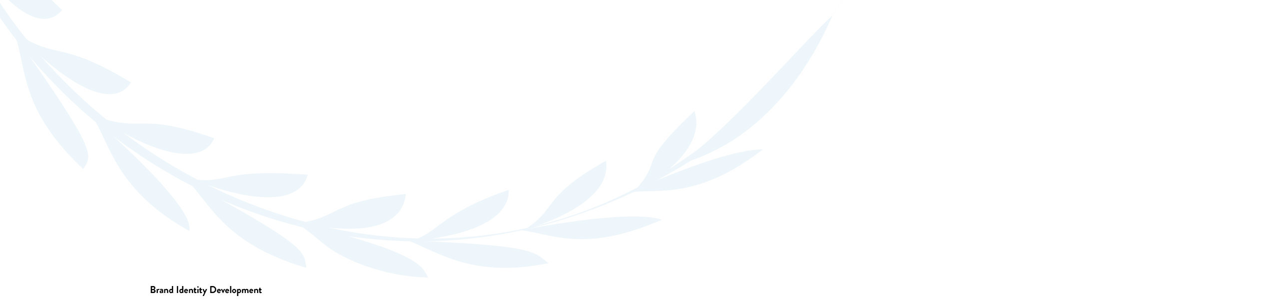 •-01-Shireburn-Portfolio-post-3_01 case study