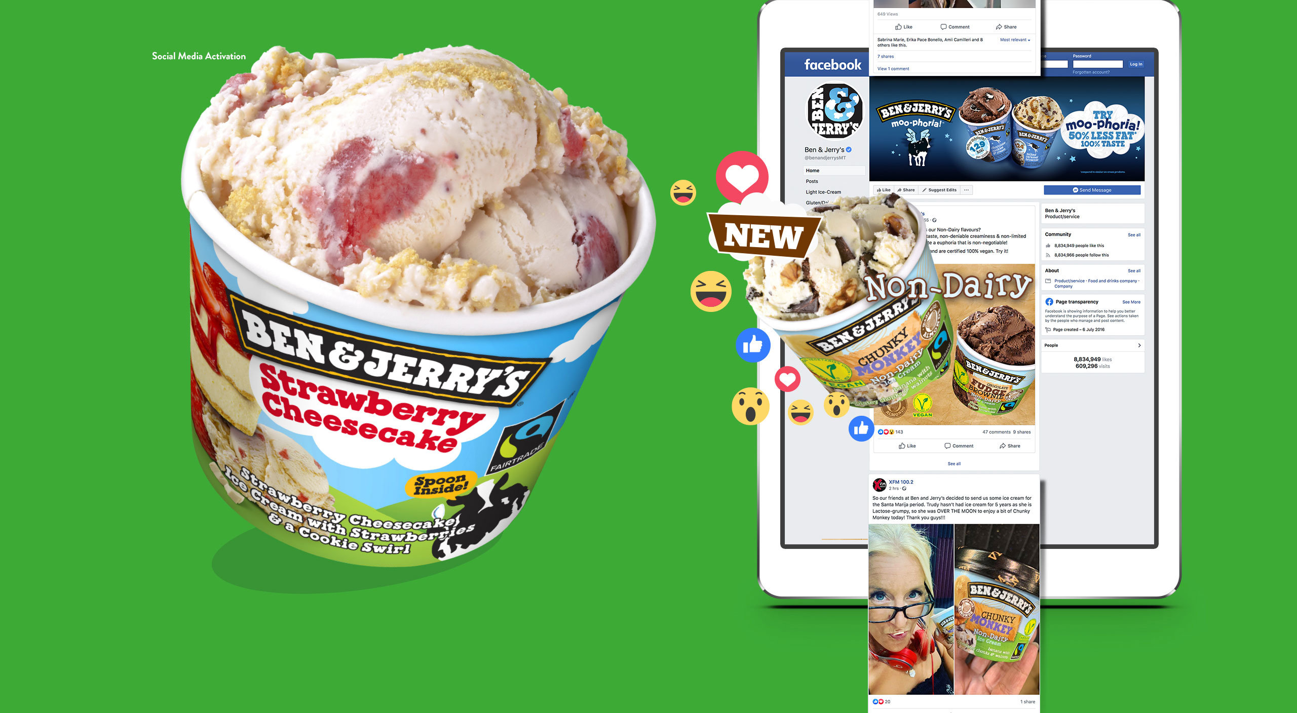 Ben-&-Jerry's-Portfolio-post-2_10 case study