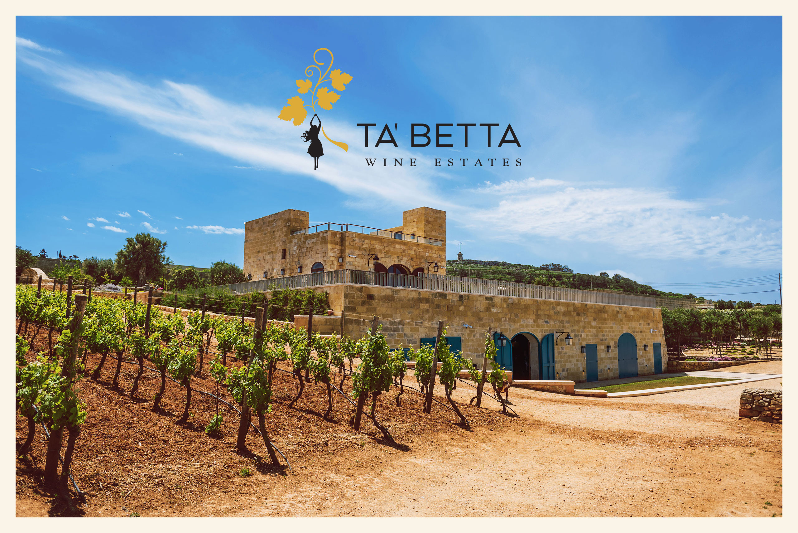 Ta-Betta-Portfolio-post-2_01 case study