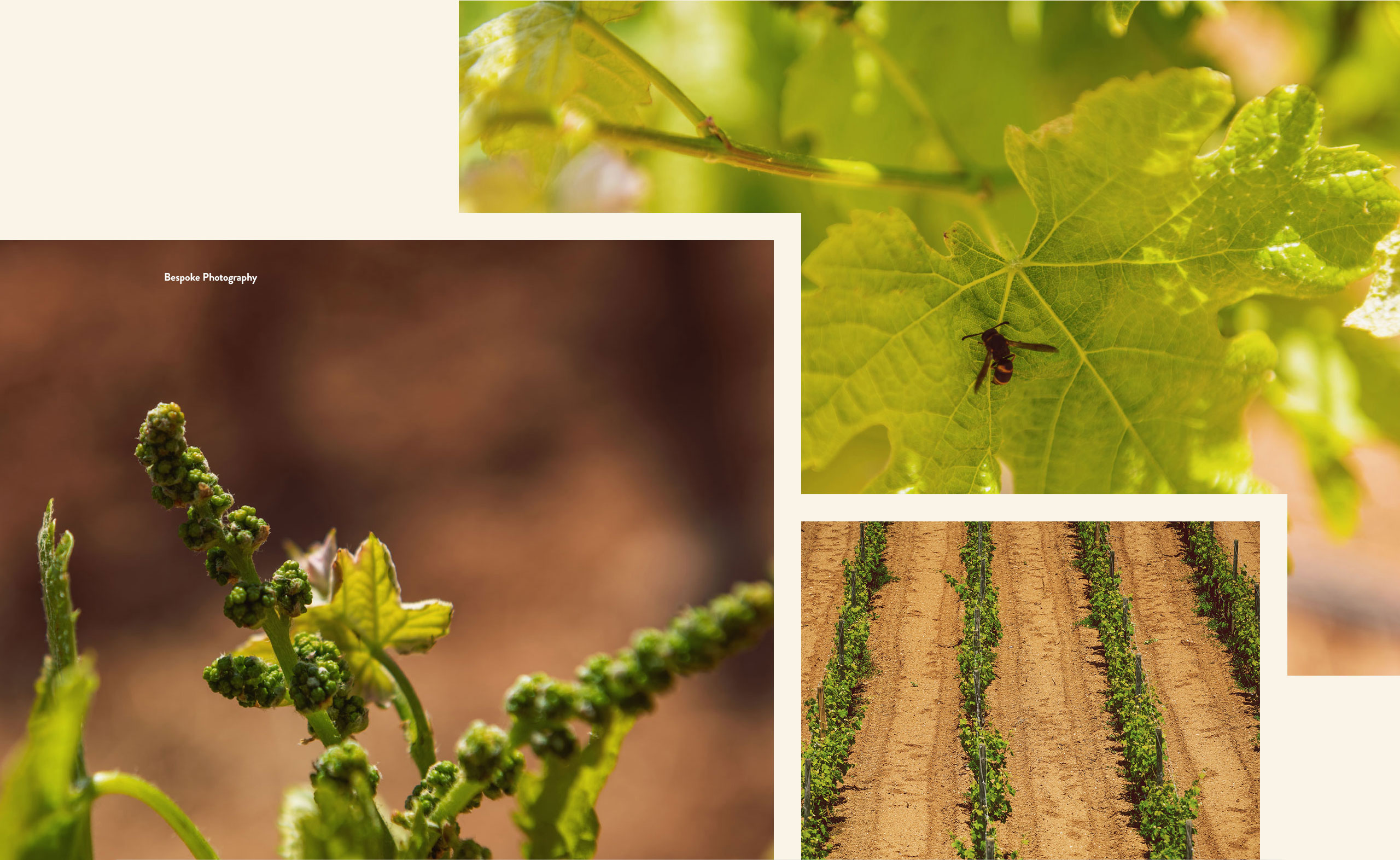 Ta-Betta-Portfolio-post-2_03 case study