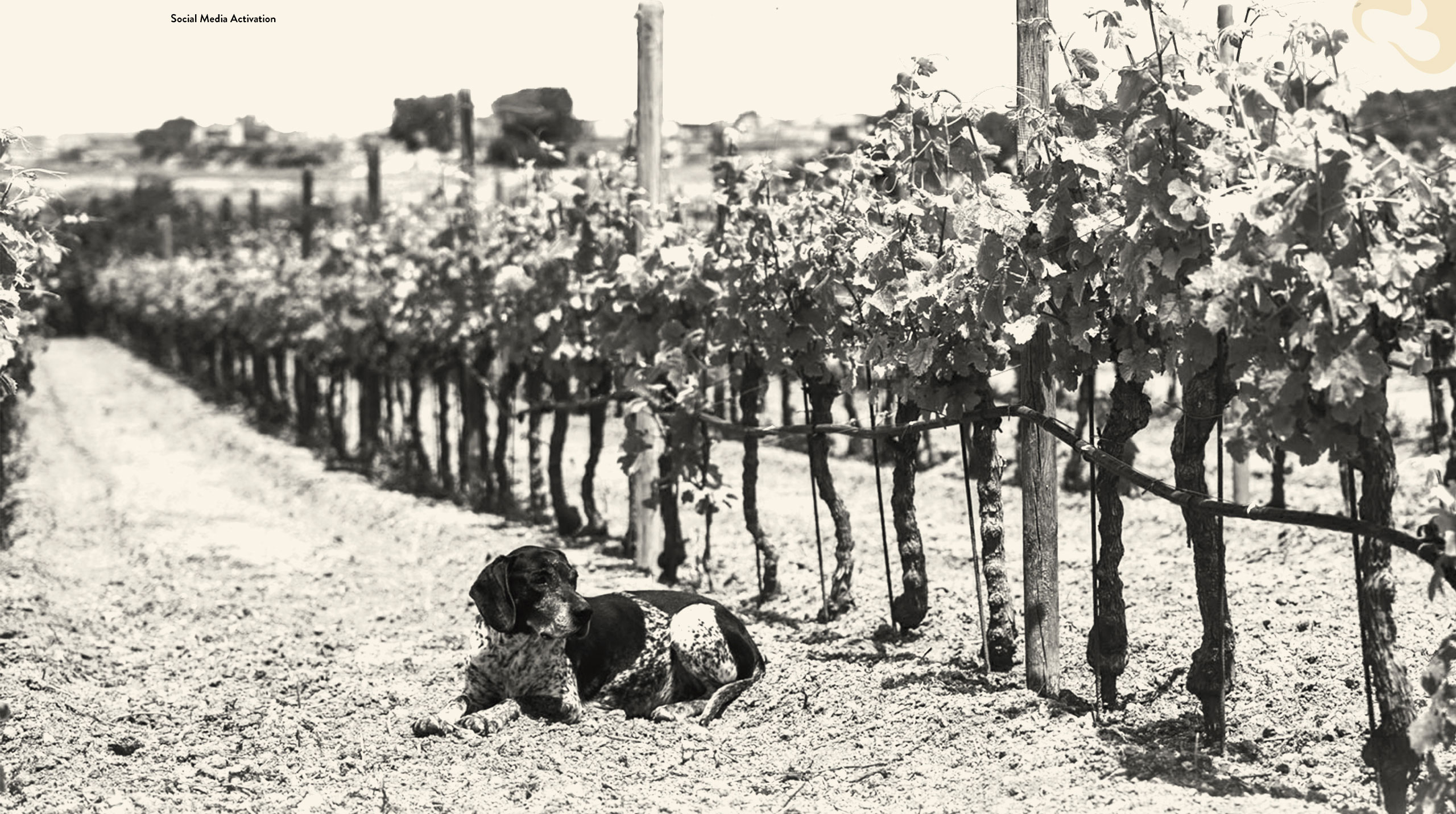 Ta-Betta-Portfolio-post-2_06 case study