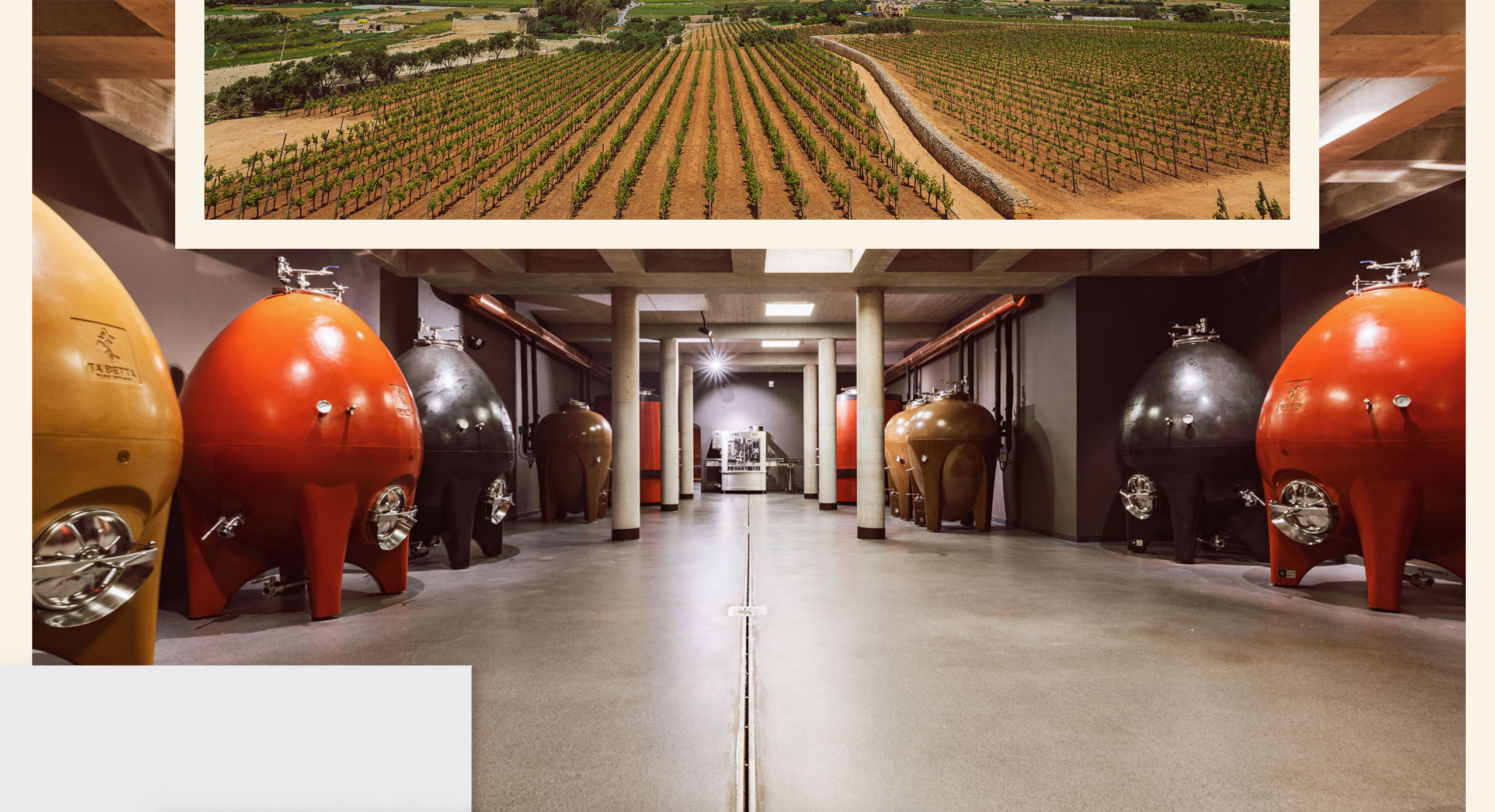 Ta-Betta-Portfolio-post-2_09 case study