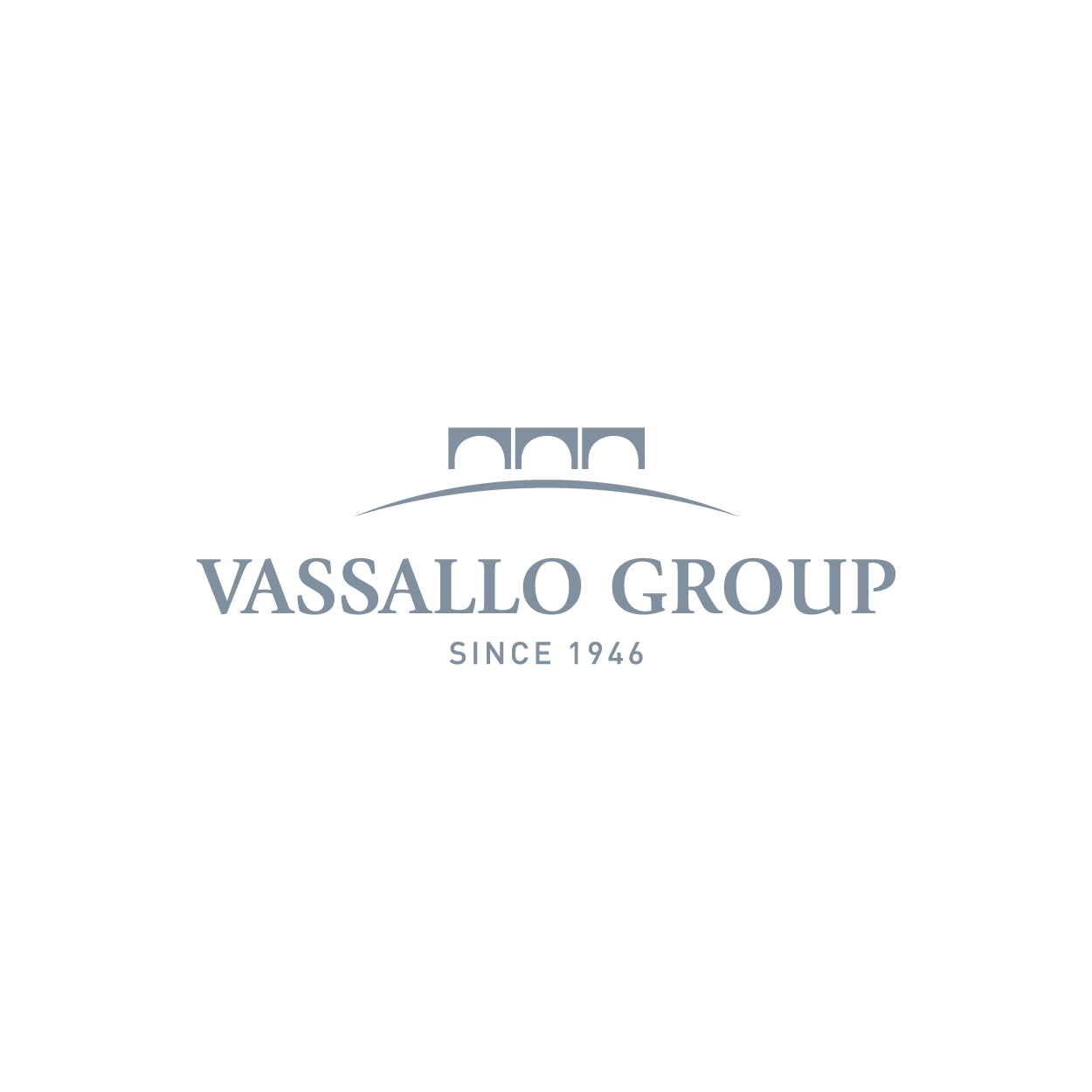 Vassallo Group logo