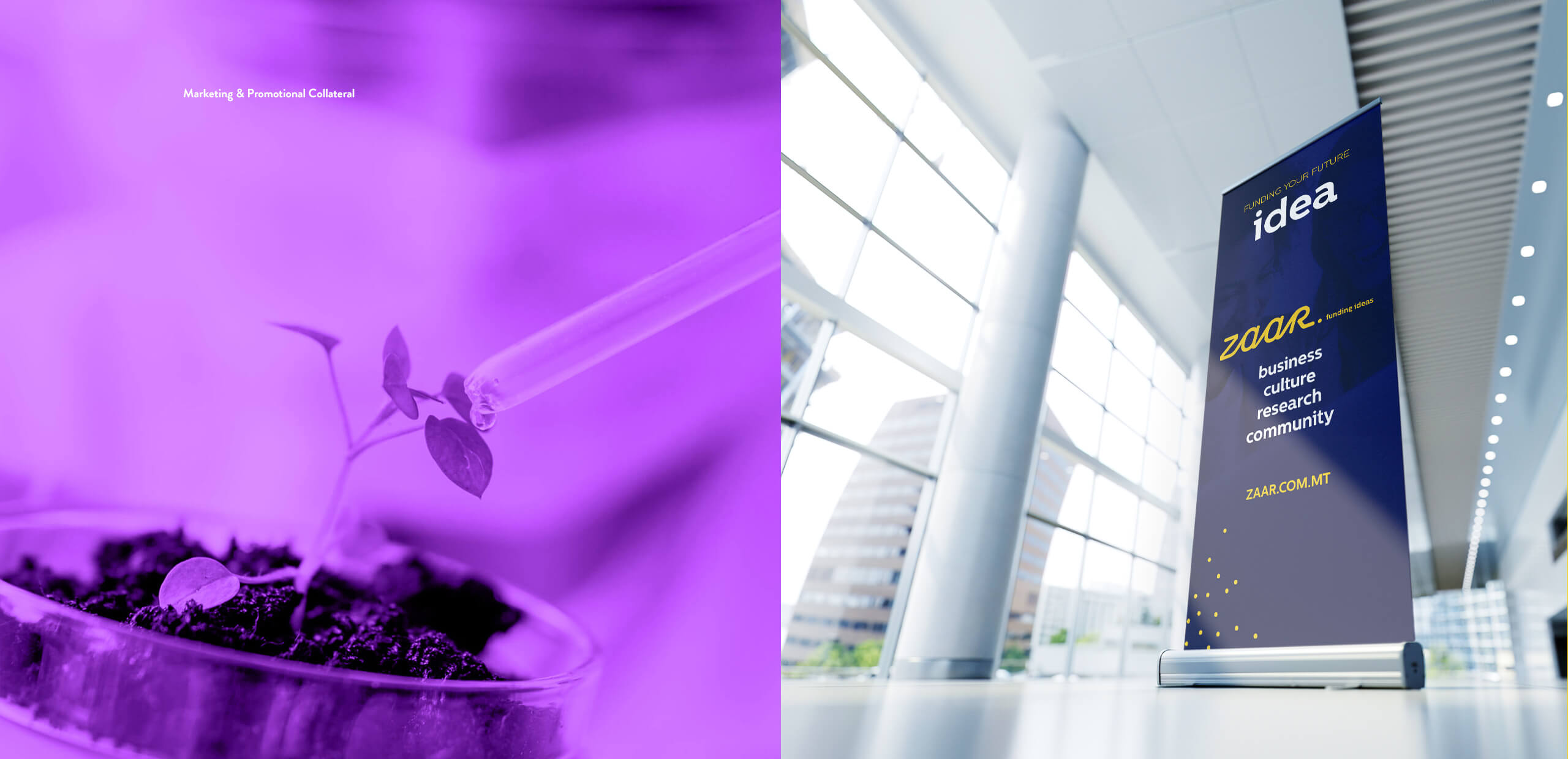 The-Concept-Stadium-Zaar-Behance-02_02 case study